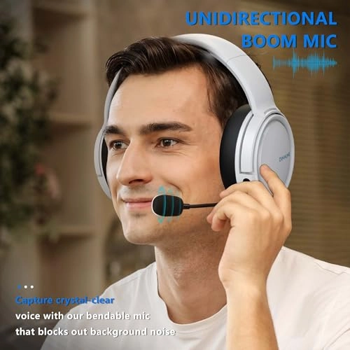 BW02-BT Wireless Headset