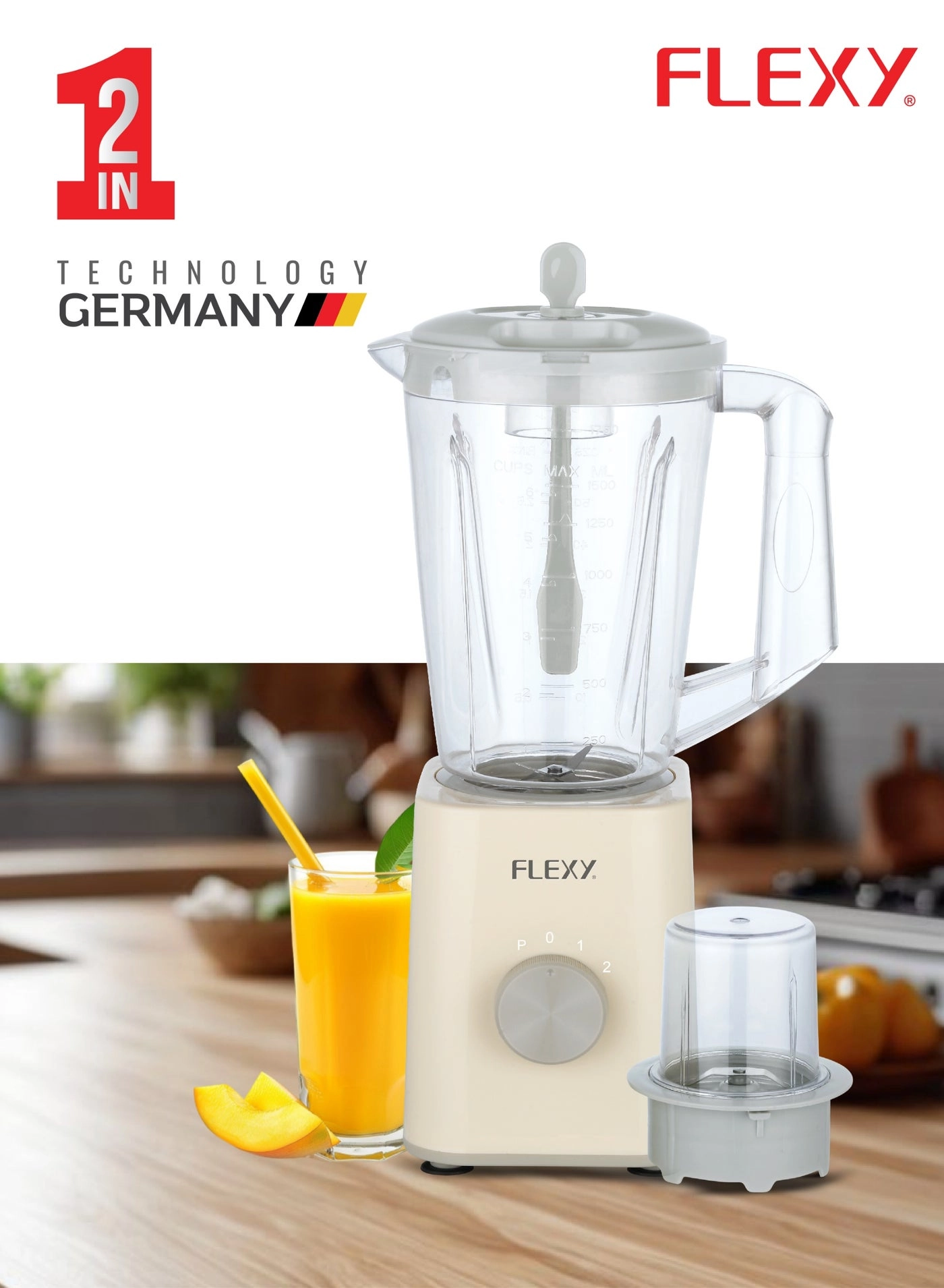 2-in-1 Mixer Grinder & Blender - 650W