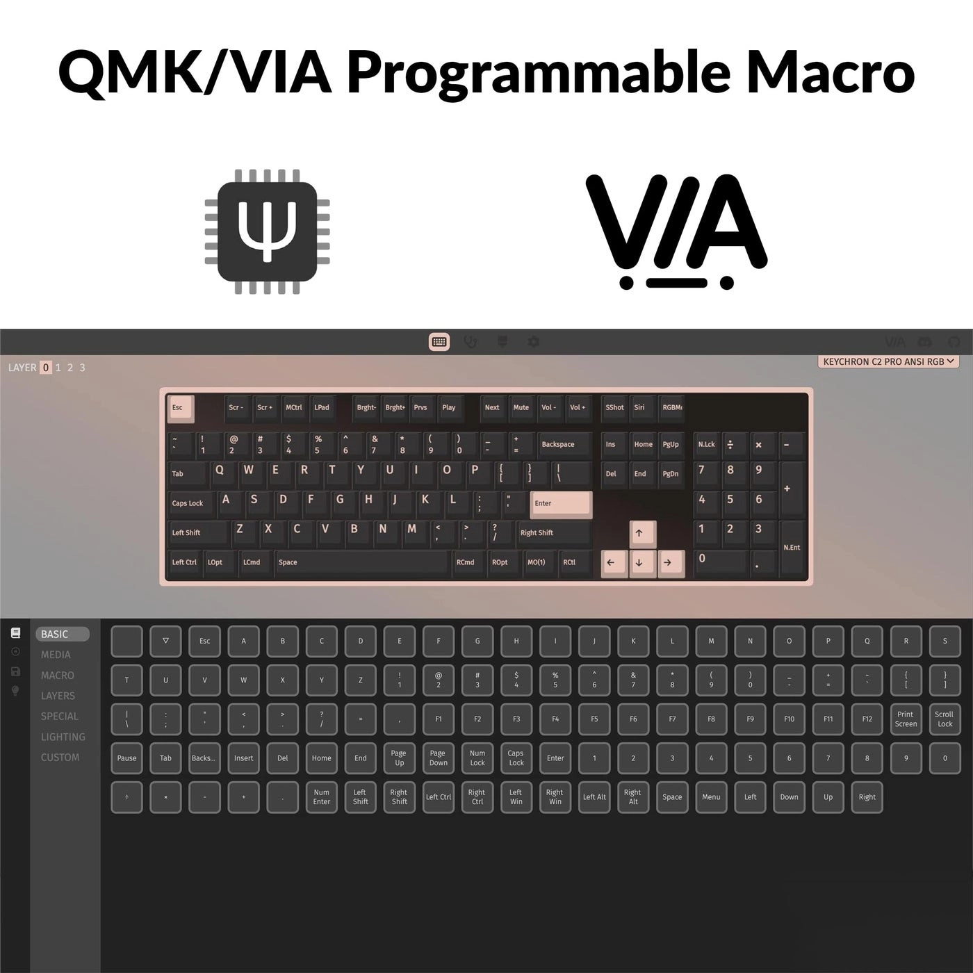 C2 Pro - Full Size Wired