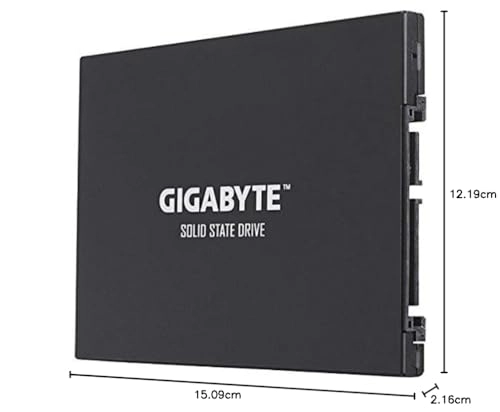 GP-GSTFS31100TNTD - 1 TB 2.5-inch
