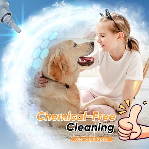 Portable Steam Cleaner - 2.6 to 3.2 bar 350ml