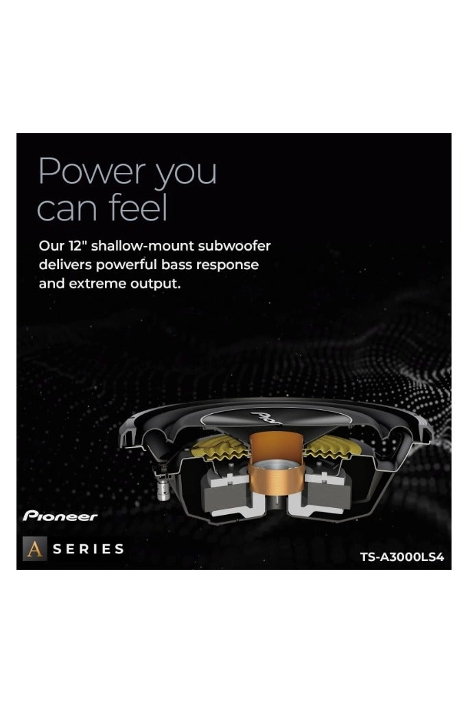 TS-A3000LS4 - 400W 12in