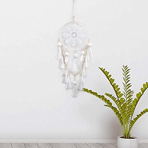 Dreamcatcher - Siderosphere, feathers, lines, wood beads.