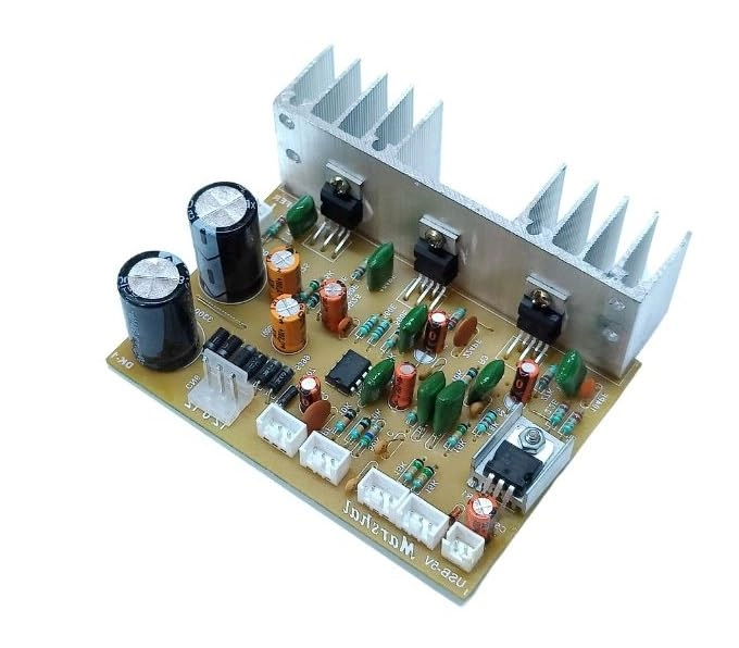 ERH India (9311830183) Amplifier Board - 2.1 100 Watt