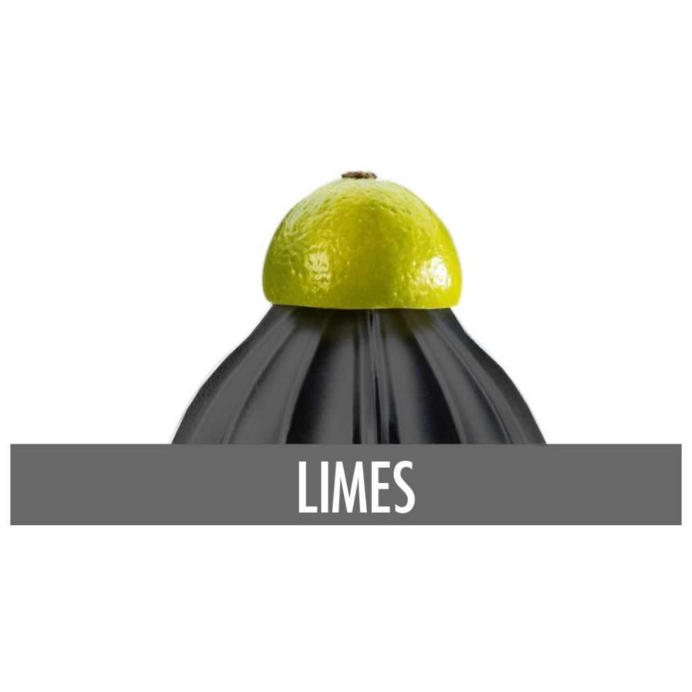 Home Culture Citrus Juicer - Automatic start-up 2 reaming cones