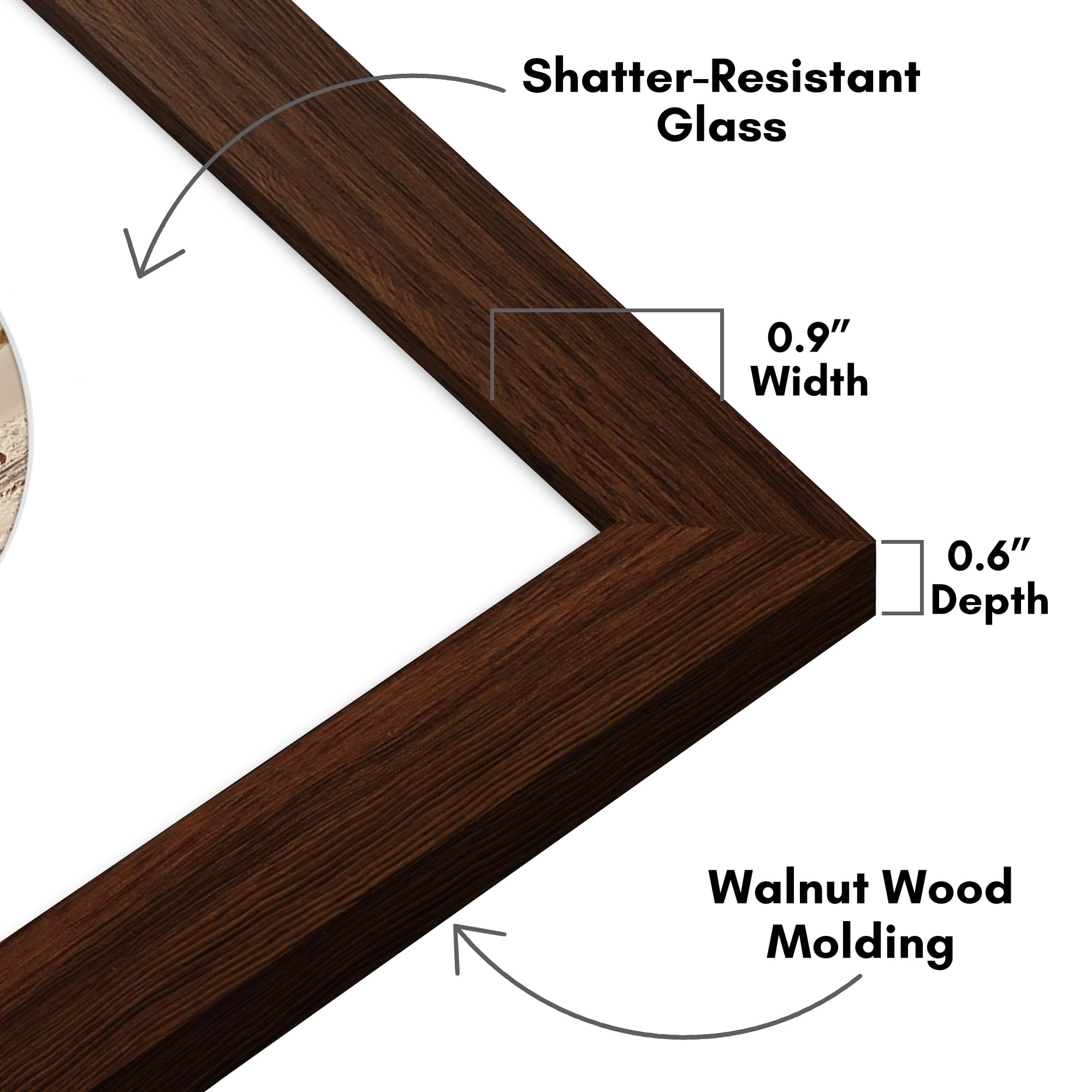 MW1212WALNUT88CIR - 8x8