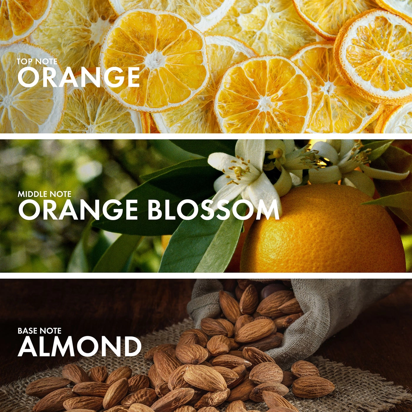 CARAWAY ALMOND Eau de Parfum 50 ml