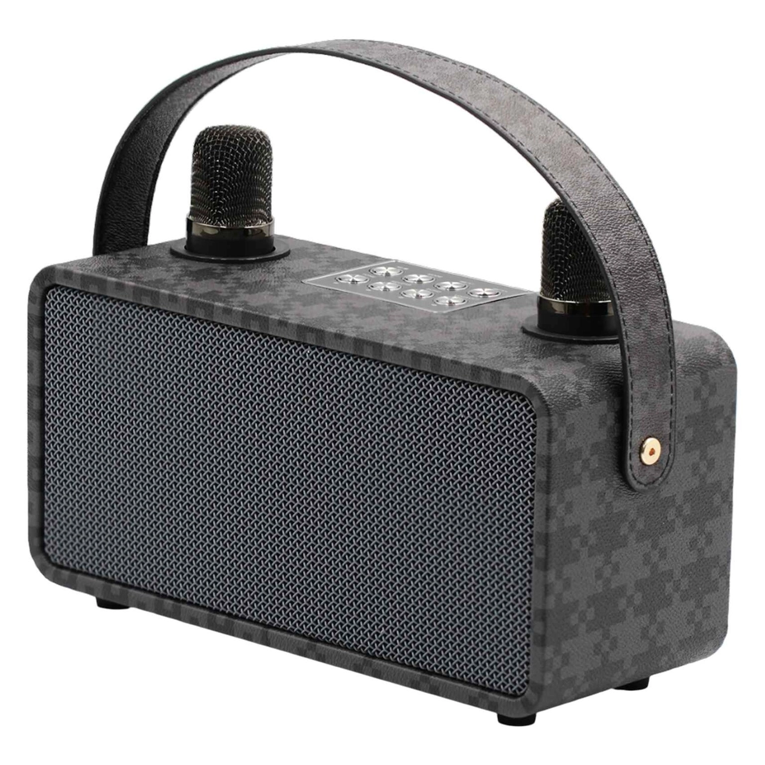 PulZ Mini Karaoke System - 2 Microphones