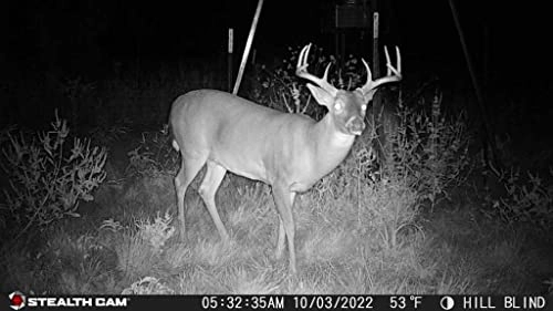 Browtine - 18 megapixel