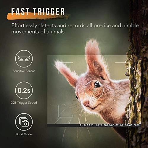 Trail Camera Dual-Lens - 20MP