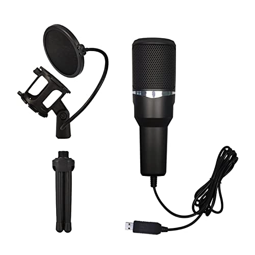 ss1/i47612 USB+3.5mm-Mini-Jack Microphone