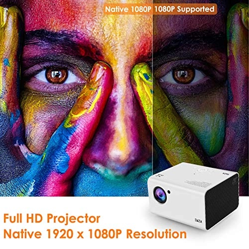 V509 300 ANSI Lumens