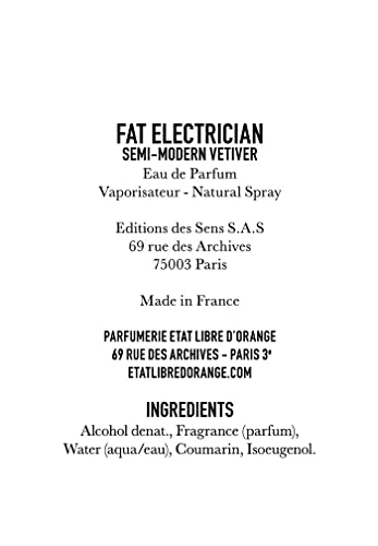 Fat Electrician Eau de Parfum 100 ml
