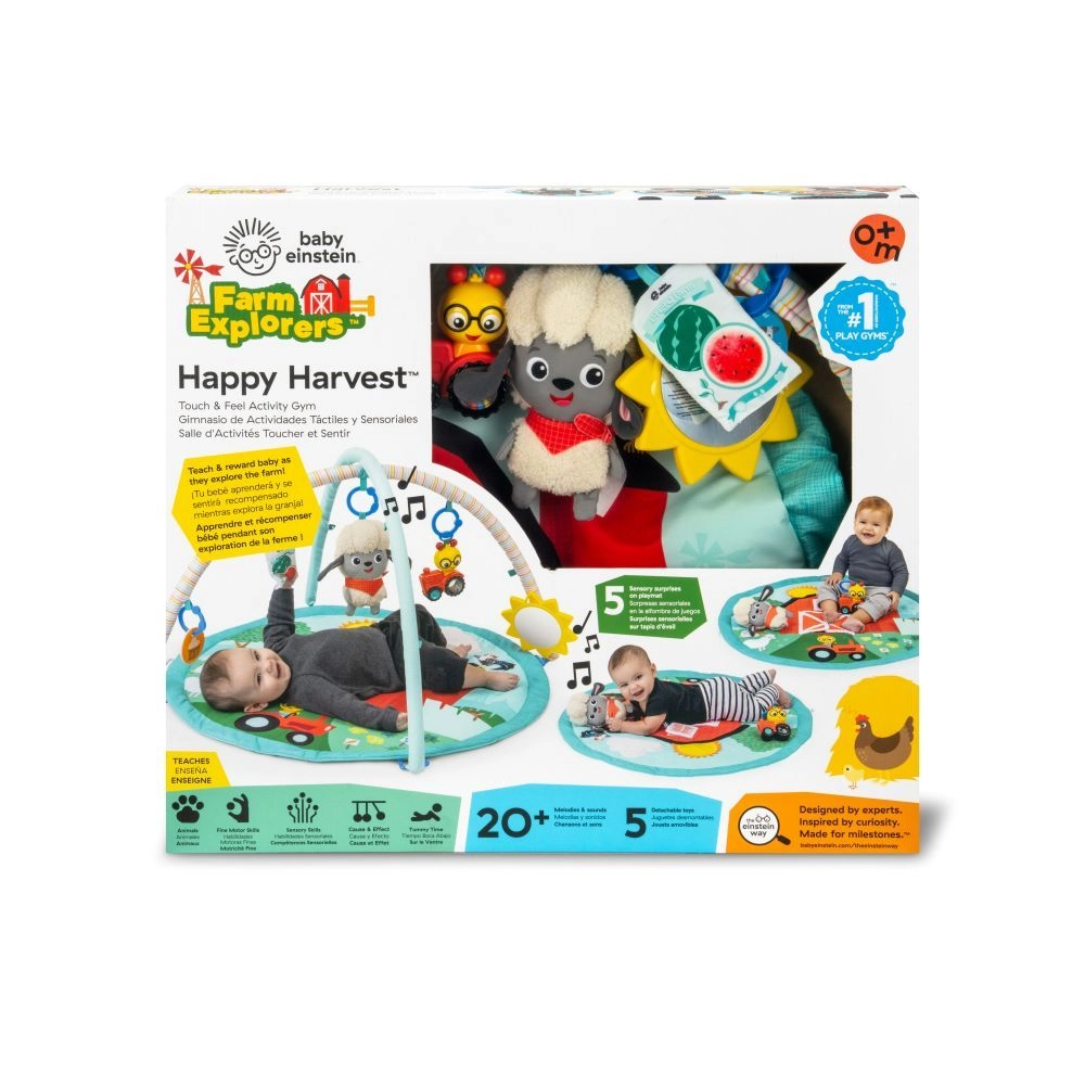 Happy Harvest Touch & Feel Activity Gym - 0+ months