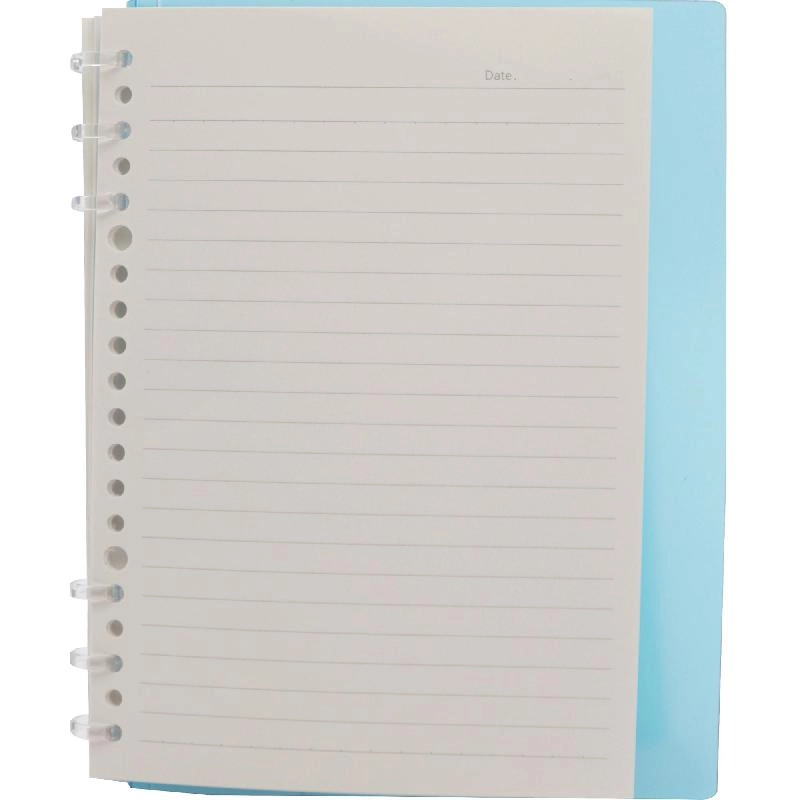 Notebook 19 X 26 cm Spiral - Grid 100 Sheets