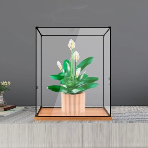 Display Case (11504) - 3mm acrylic transparent UV protection dustproof