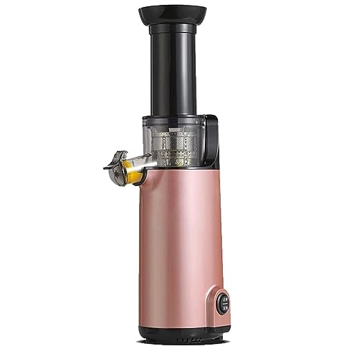 masticating juicer - 120W