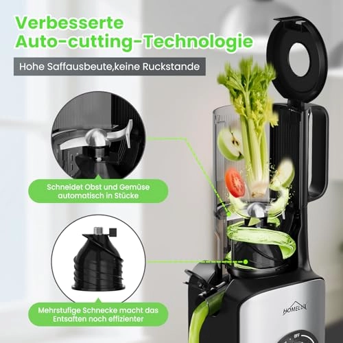 Slow Juicer - 220W