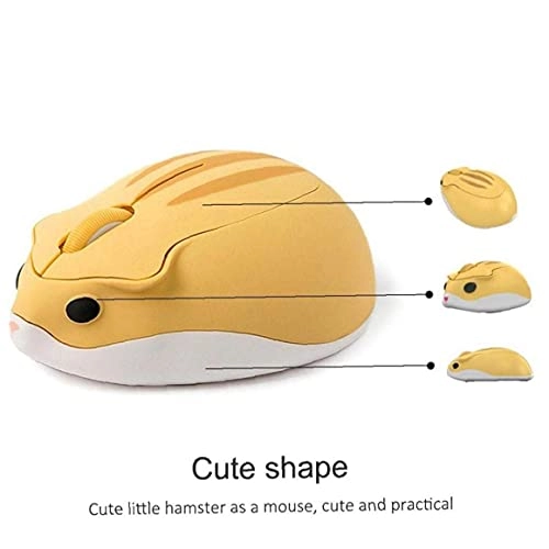 Optical Cordless Mouse - USB