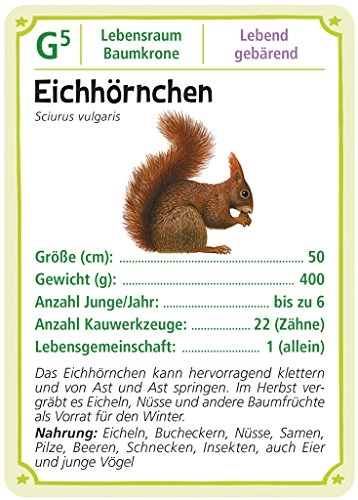 Expedition Natur: Forest Animals Quartett - Card Game