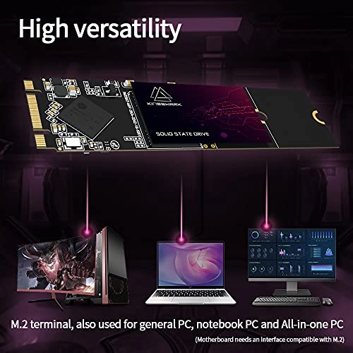 Solid State Drive - 250GB M.2 2280