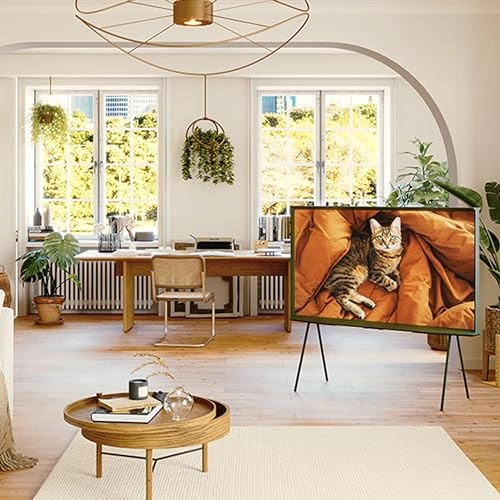 QA55LS01DAUXZN - 55 inch