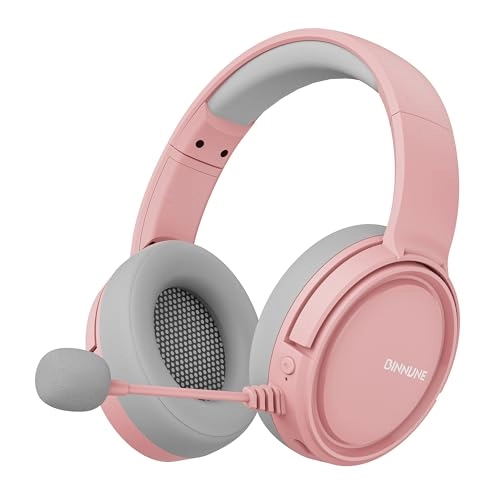 BW02-BT Wireless Headset