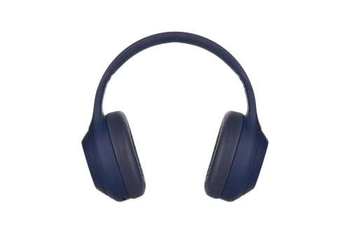 SoundSweeper Wireless Headset