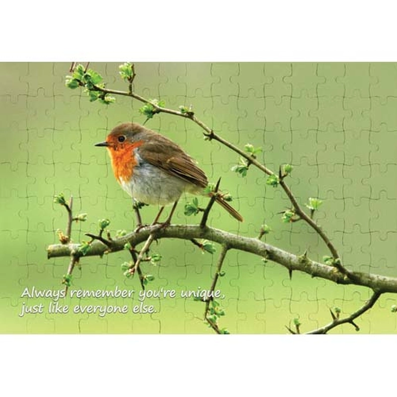 Ajooba Dubai Motivation Puzzle (2234)