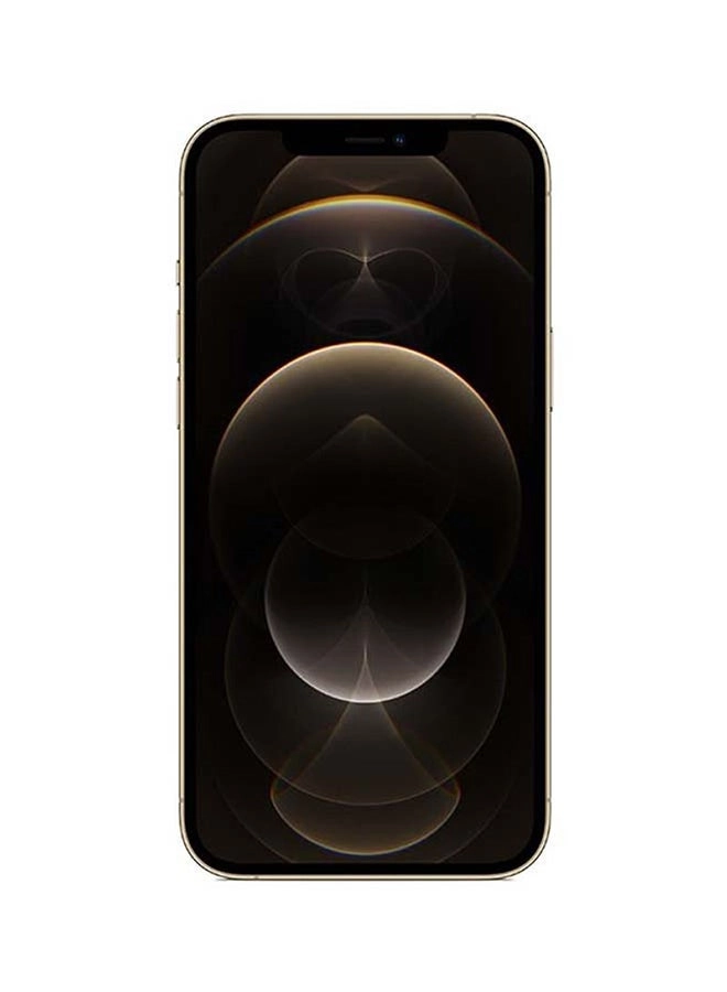 iPhone 12 Pro Max - 256GB