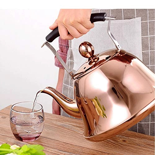 Stovetop Induction Whistling Kettle - 5L