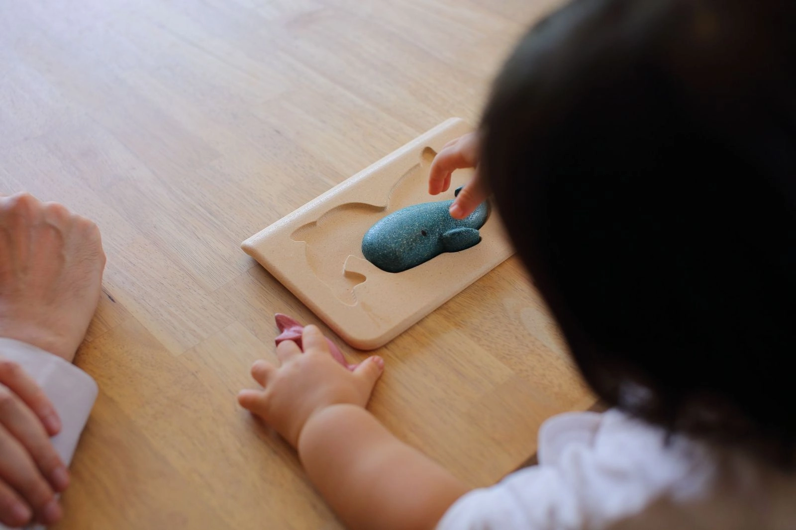 Sea Life Puzzle - 3 +