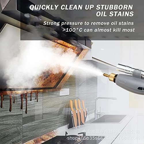Steam cleaner