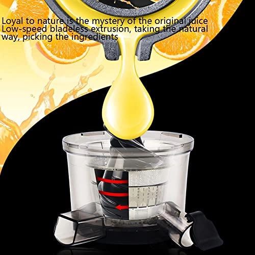 Wide Chute Slow Masticating Juicer Extractor - 250 watts 500 Milliliters