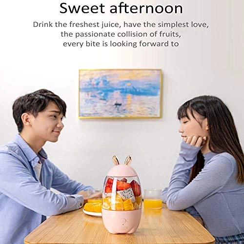 Portable Juicer - USB Charging Mini
