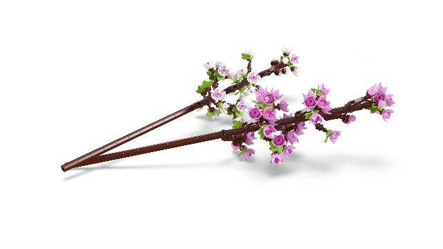Cherry Blossoms Celebration Gift (40725) - Flowers