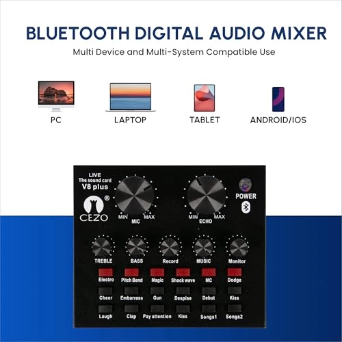 BM 800 XLR+3.5mm-Mini-Jack Microphone