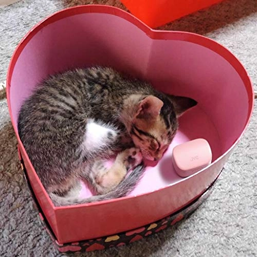 HA-A10T Wireless Earbud