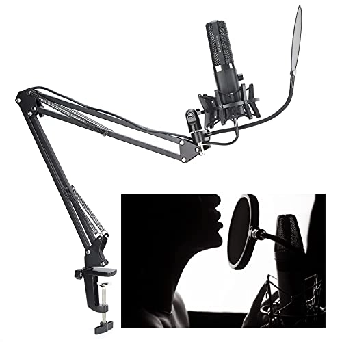 c4gspifouy USB Microphone Bundle