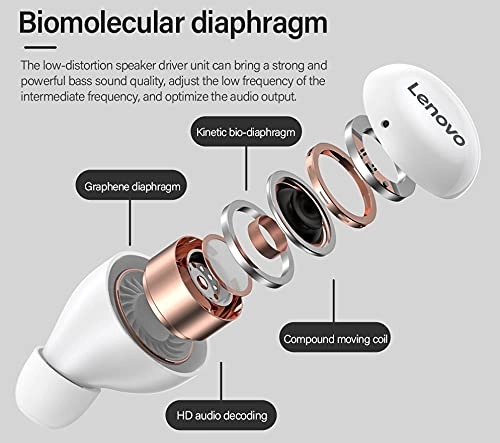 LP11 Wireless Headphone