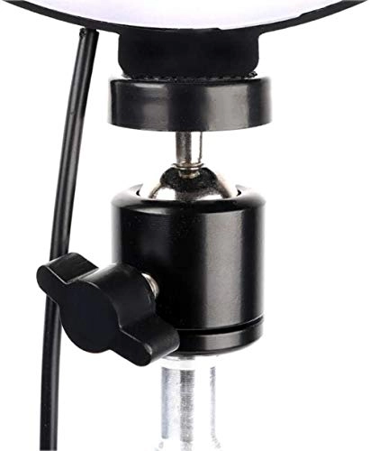 RGB Color Soft Ring Light - 26CM