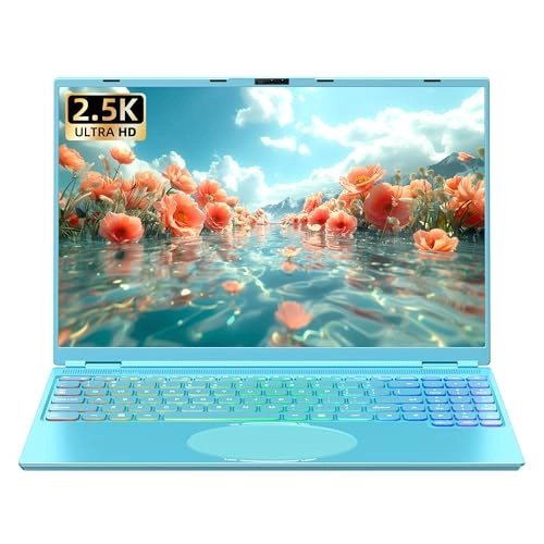 DQ156 - 16'' N95 16GB DDR4 256GB SSD