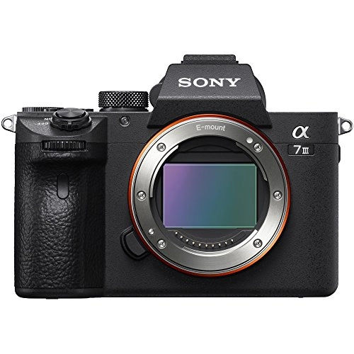a7 III