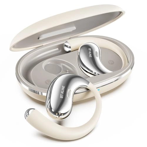 BT-X Wireless Headphone