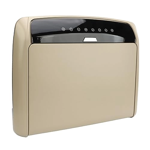 Car Overhead Player - 15.6in