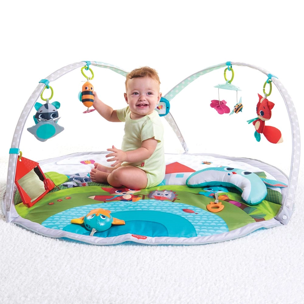 Dynamic Developmental Activity Playgm - 0 month