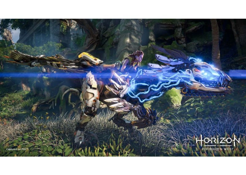 Horizon Forbidden West Special Edition - PlayStation 5