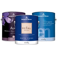 Paints, Primers & Finishes