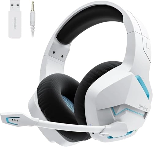 BW01-BT Wireless Headset