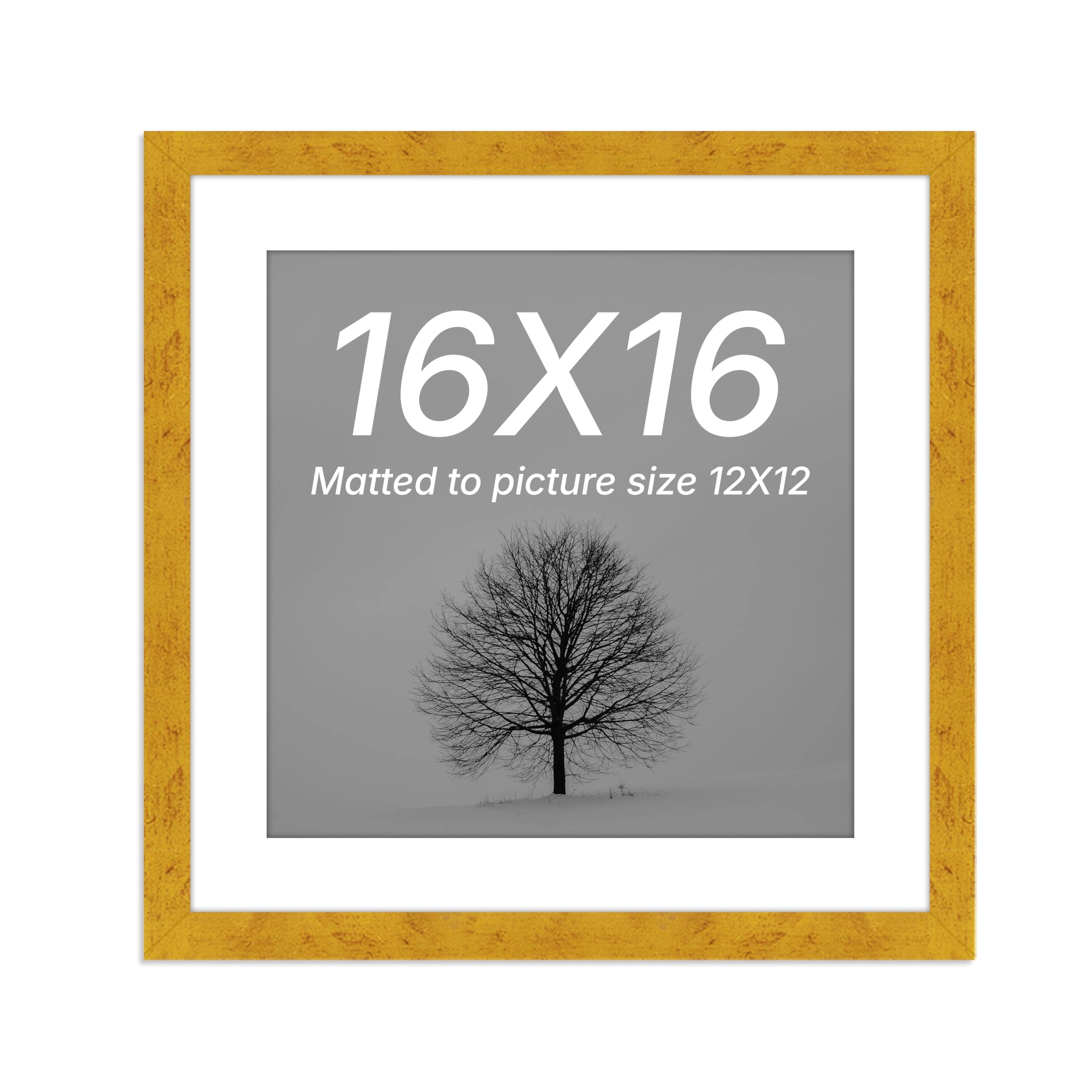 Edge Square, Edge Square PMTPF1700016X16GD - 16x16 Inch
